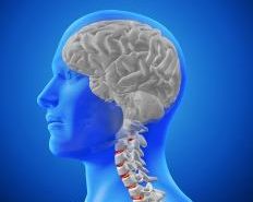 Neurosurgery