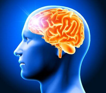 3d-render-male-head-showing-brain Stroke – What are the symptoms?